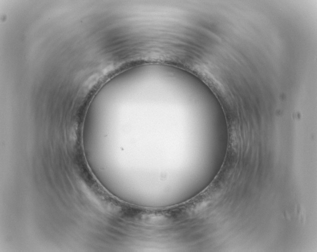 X0000088880208200706221823