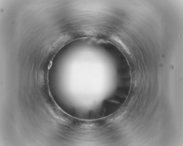 X0000088880213200706221823