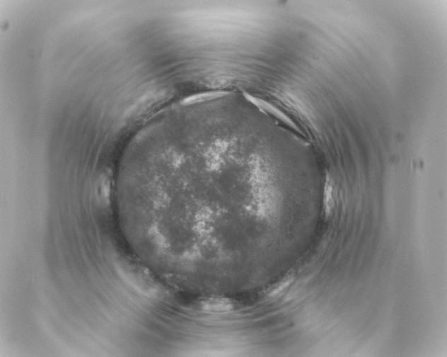 X0000088880214200706221823