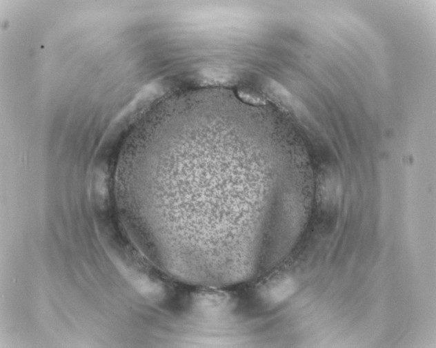 X0000088880215200706221822