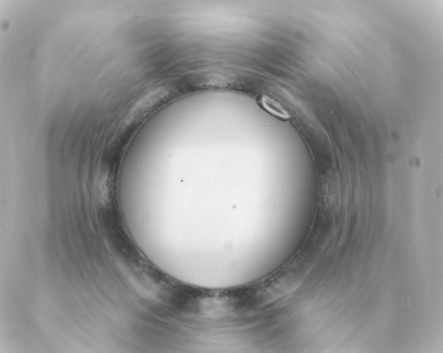 X0000088880216200706221822