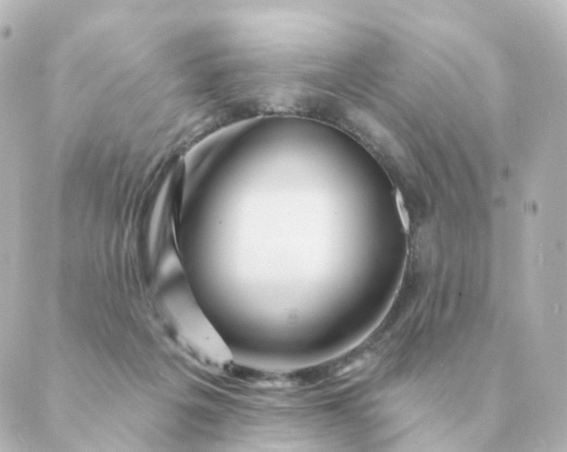 X0000088880217200706221822