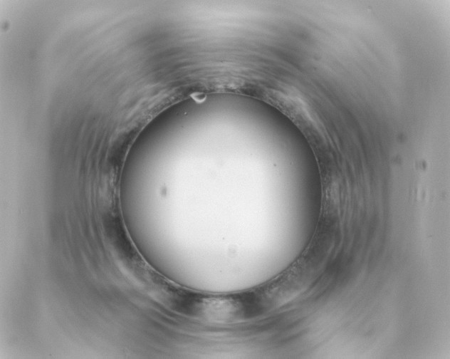 X0000088880218200706221822