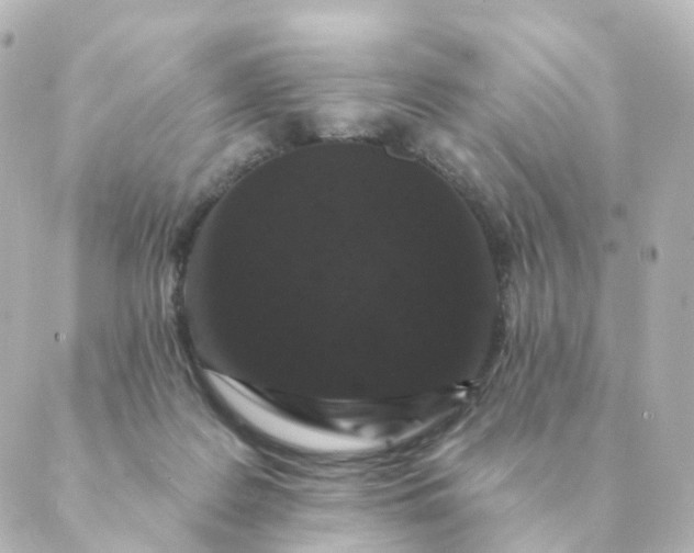 X0000088880219200706221822