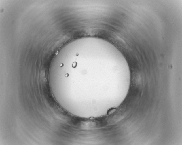 X0000088880220200706221822