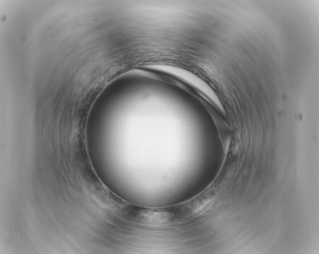 X0000088880221200706221822