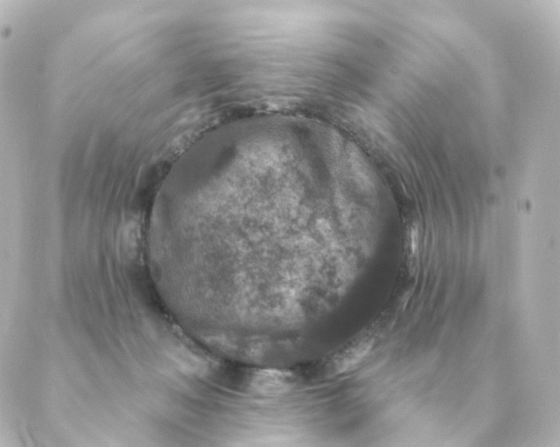 X0000088880222200706221822