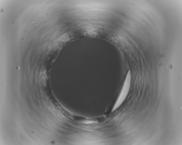 X0000088880223200706221822