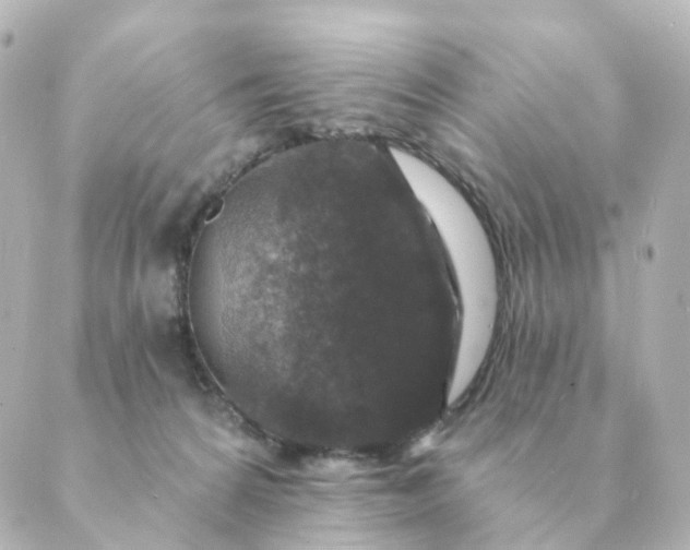 X0000088880224200706221822