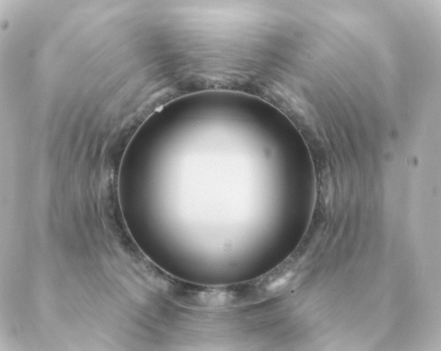 X0000088880225200706221822