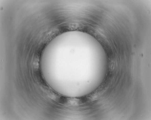 X0000088880226200706221822