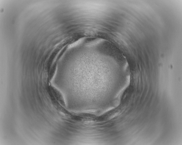 X0000088880228200706221822