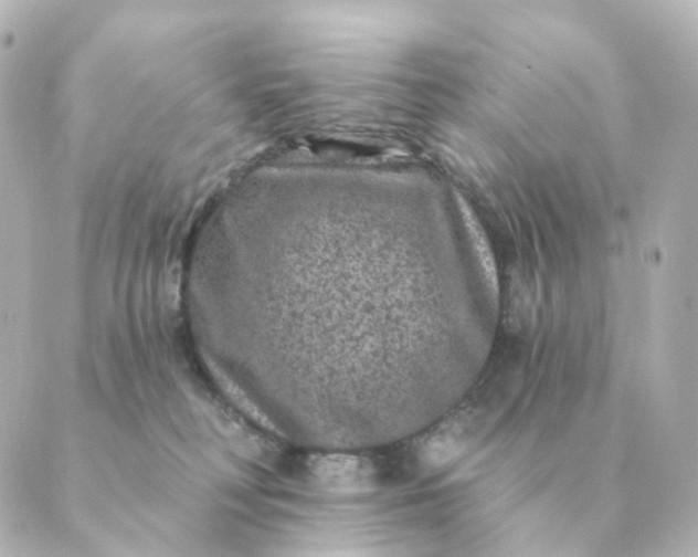 X0000088880230200706221822