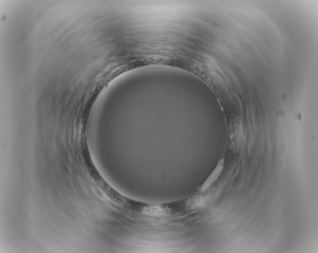 X0000088880231200706221822