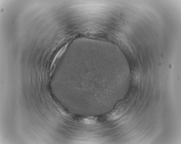 X0000088880232200706221822