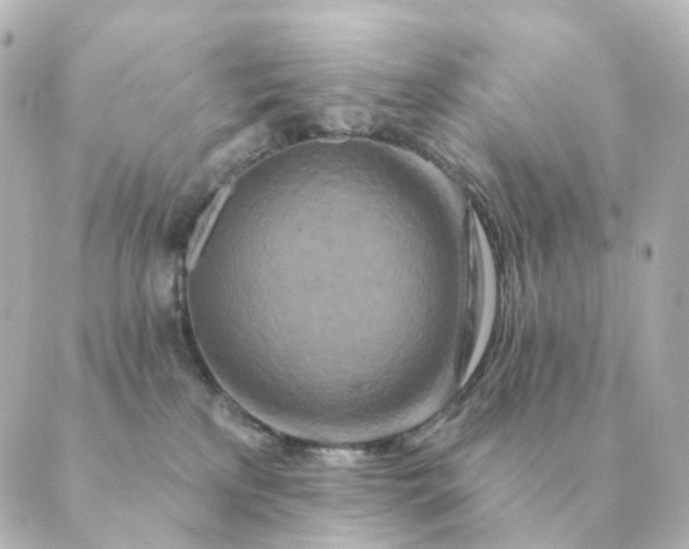 X0000088880233200706221822