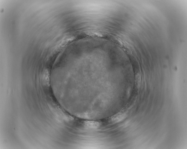 X0000088880234200706221822