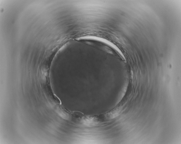 X0000088880235200706221822