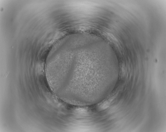 X0000088880236200706221822