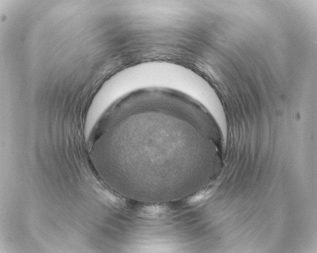 X0000088880237200706221822