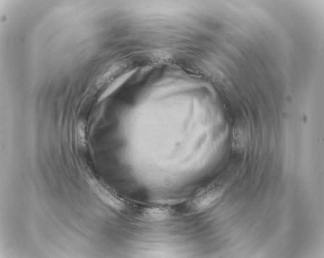 X0000088880238200706221822