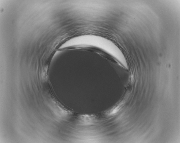 X0000088880239200706221822