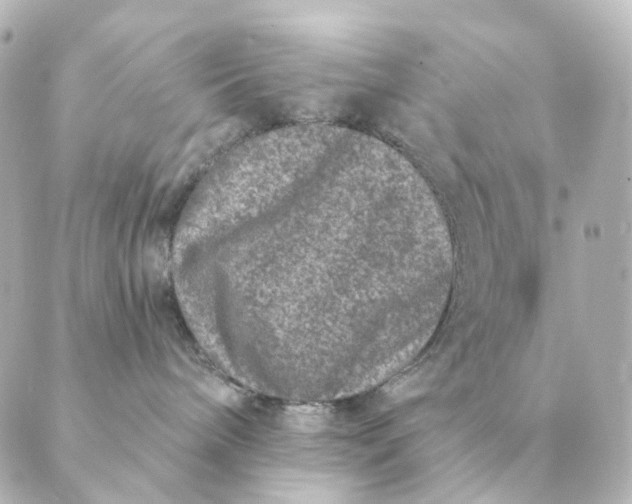 X0000088880240200706221822