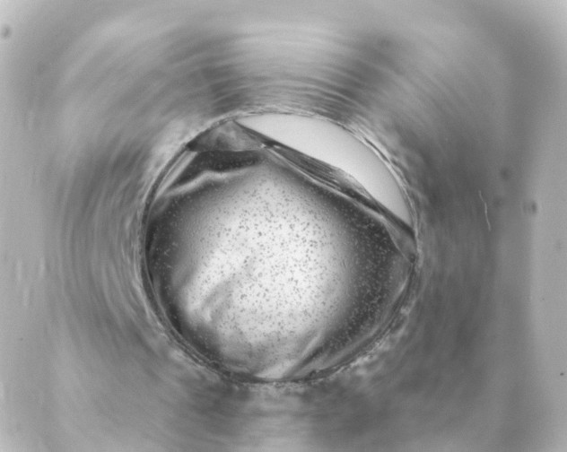 X0000088880241200706221821