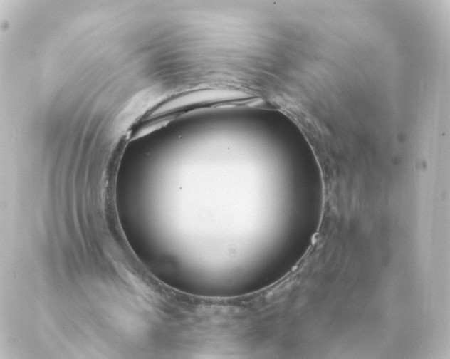 X0000088880242200706221821