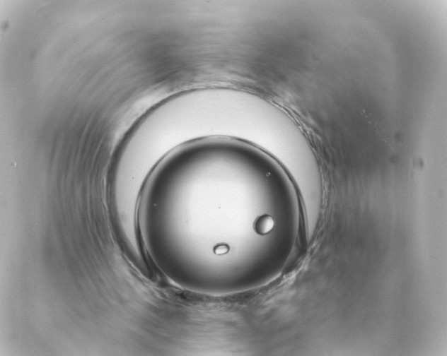 X0000088880244200706221821