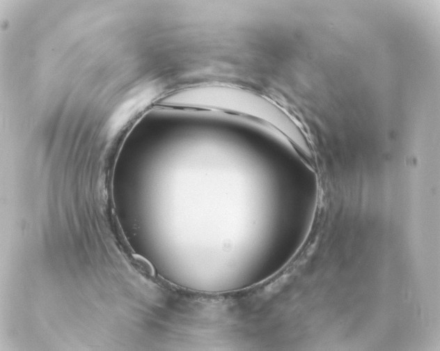 X0000088880245200706221821