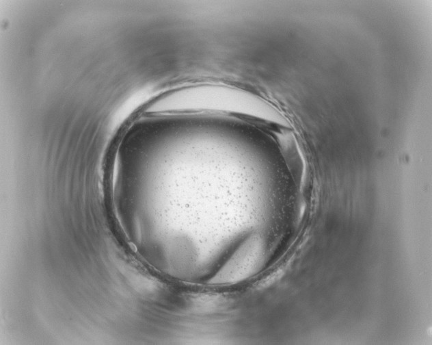 X0000088880246200706221821