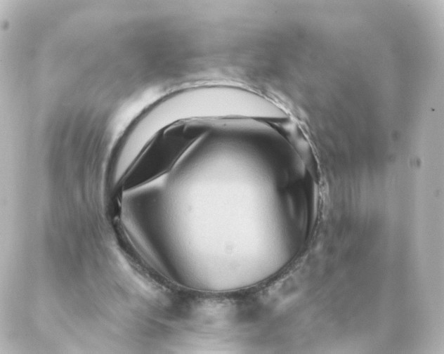 X0000088880248200706221821