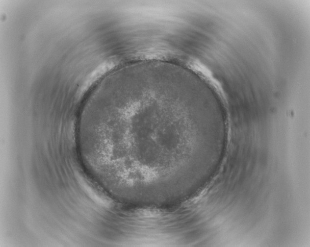 X0000088880250200706221821