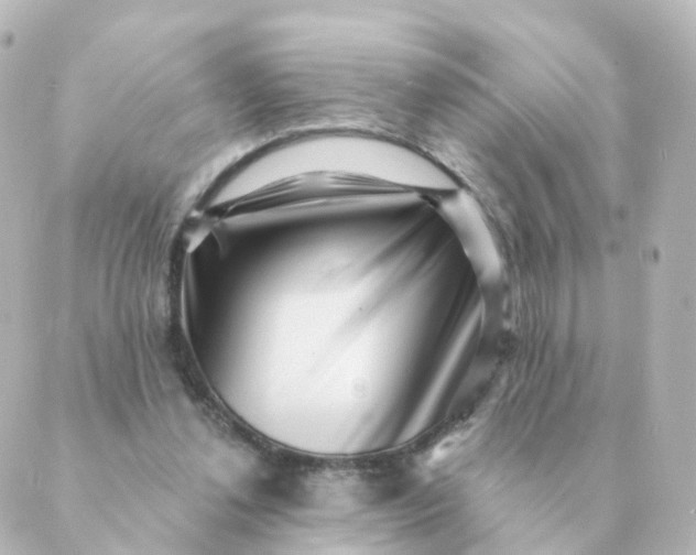 X0000088880252200706221821