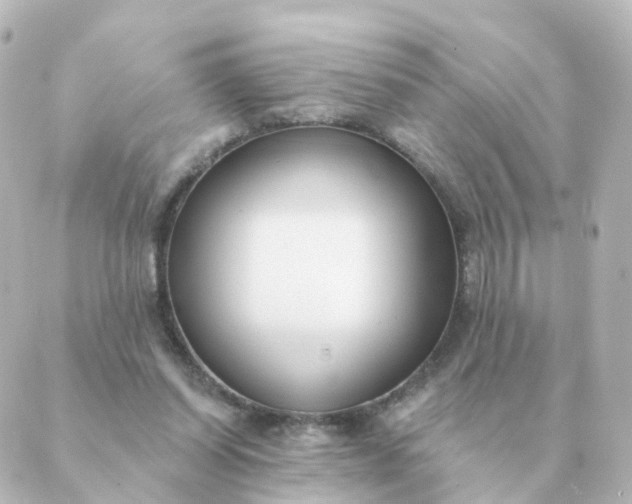 X0000088880254200706221822