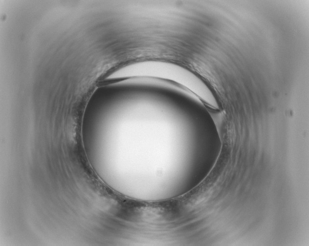 X0000088880255200706221822