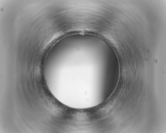 X0000088880256200706221822