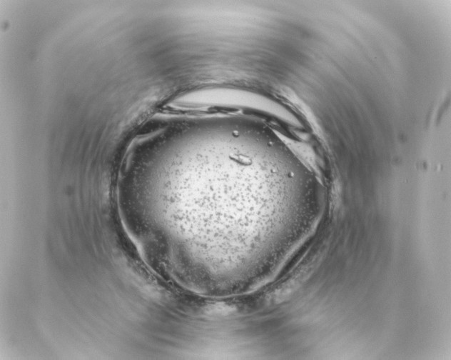 X0000088880257200706221822