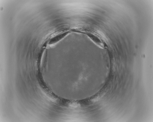 X0000088880258200706221822