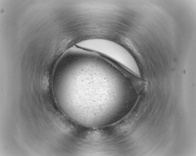 X0000088880259200706221822