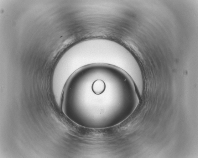 X0000088880260200706221822