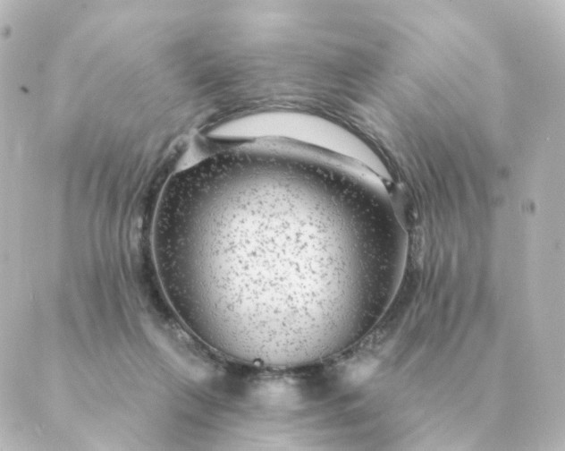 X0000088880263200706221822