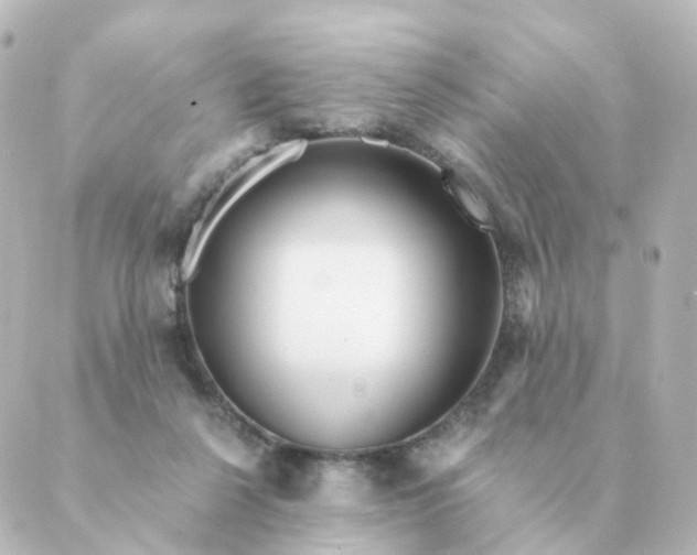 X0000088880264200706221822