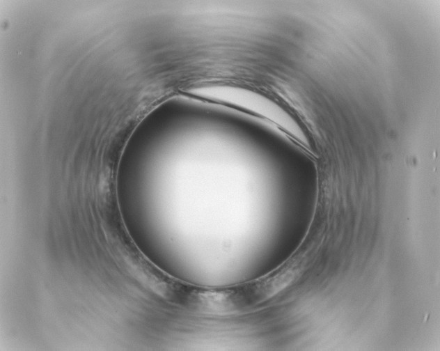 X0000088880265200706221822