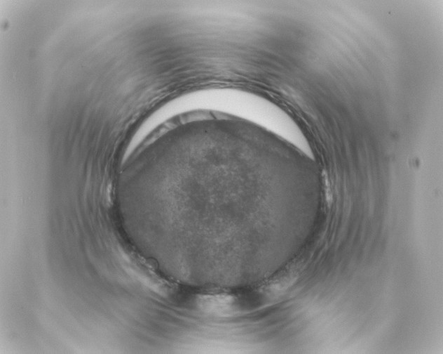 X0000088880266200706221822