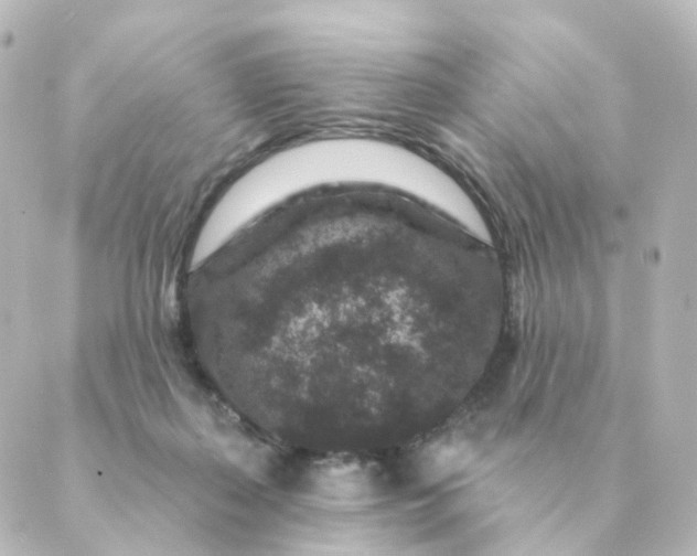 X0000088880267200706221822