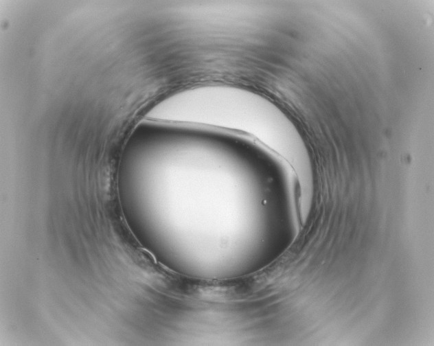 X0000088880268200706221822