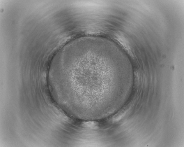 X0000088880269200706221822