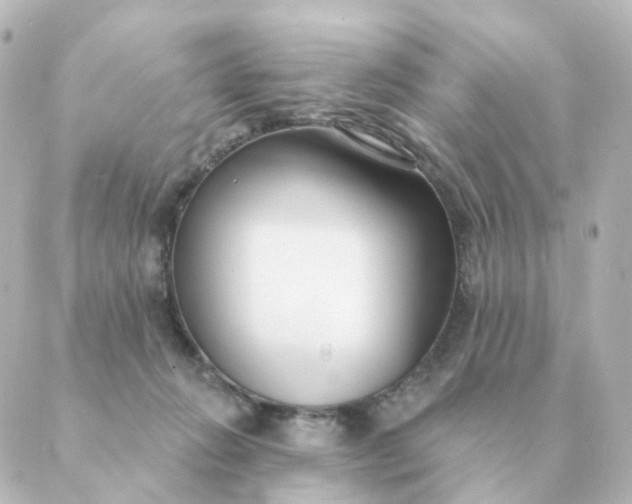 X0000088880270200706221822